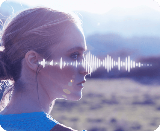 Interactive Voice Response (IVR)